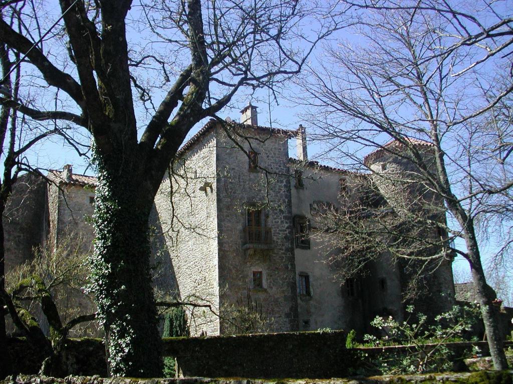 Chateau Du Cros Le Cros Εξωτερικό φωτογραφία